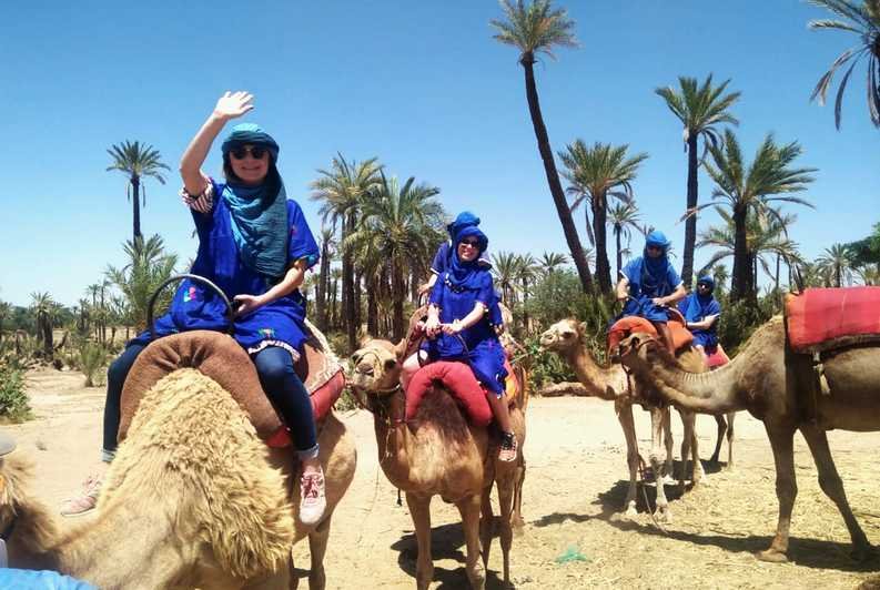 Camel ride through the palm grove