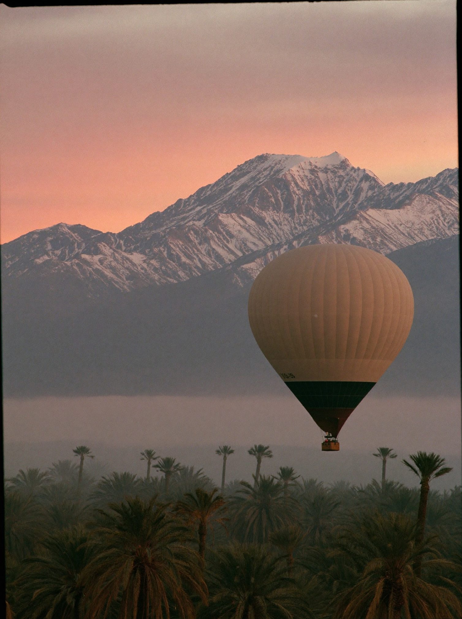 Hot air balloon over the palm groves